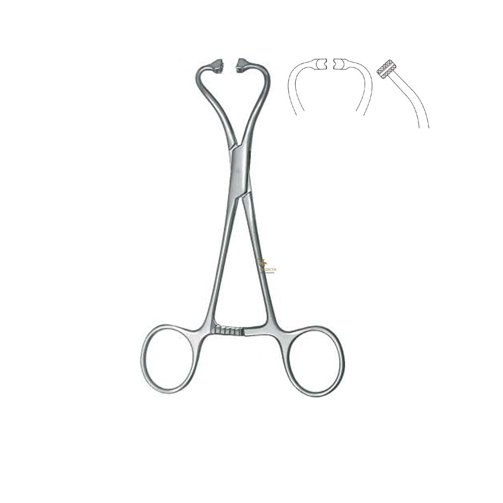 PeersBertram Towel Clamp 14.5cm Towel Forceps Medicta Instruments